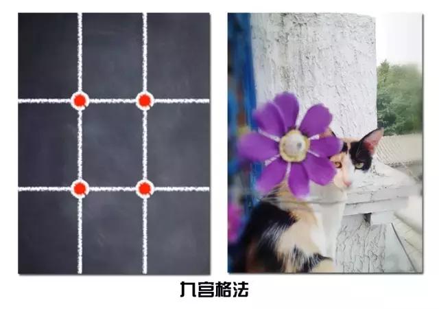 单反如何拍高逼格照片,用手机相机拍出好看的照片