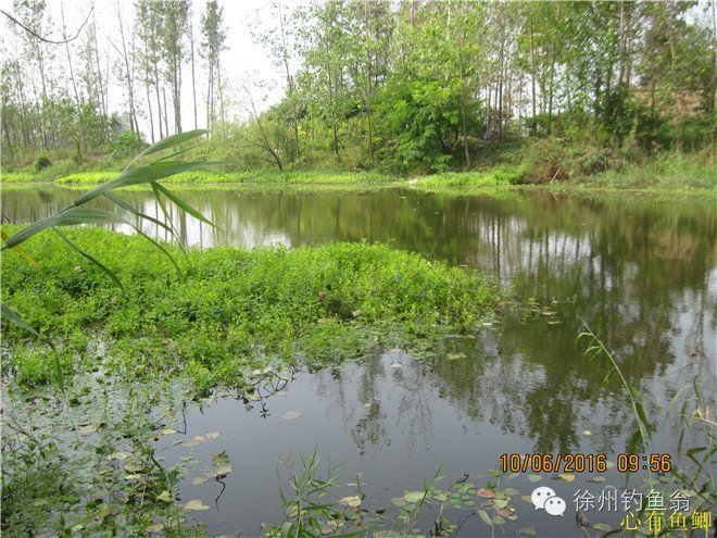 徐州铜山区野钓最新地点,小记野河钓鱼