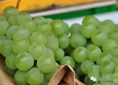 关于水果的那些秘密，湖北老乡看过来！