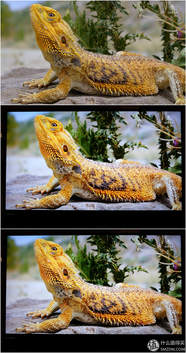 thinkvisionx1,thinkvision显示屏