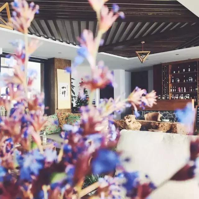 在洱海住了以后去回大理住划算吗,在洱海住酒店