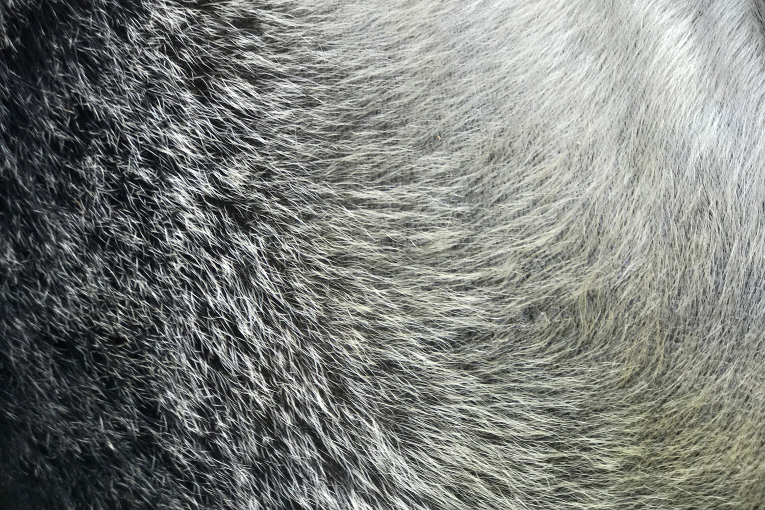 iphone7拍照怎么更好看,iphone7拍照评分