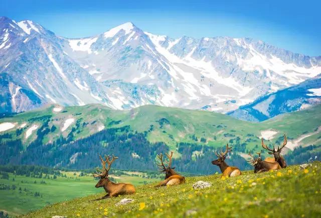 美国50大州排名,美国五十州排名