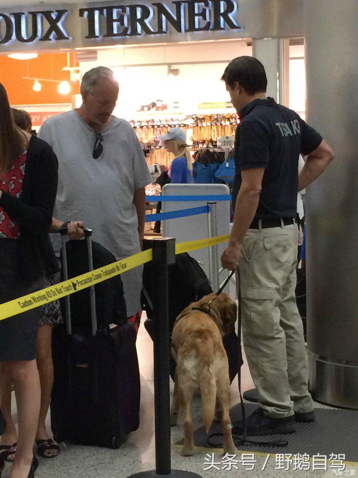 野鹅旅行,野鹅自驾无人区