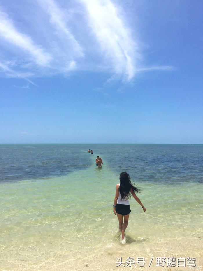 野鹅旅行,野鹅自驾无人区