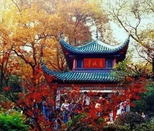 惠州机场开通海南航线,惠州机场有直达湖南吗