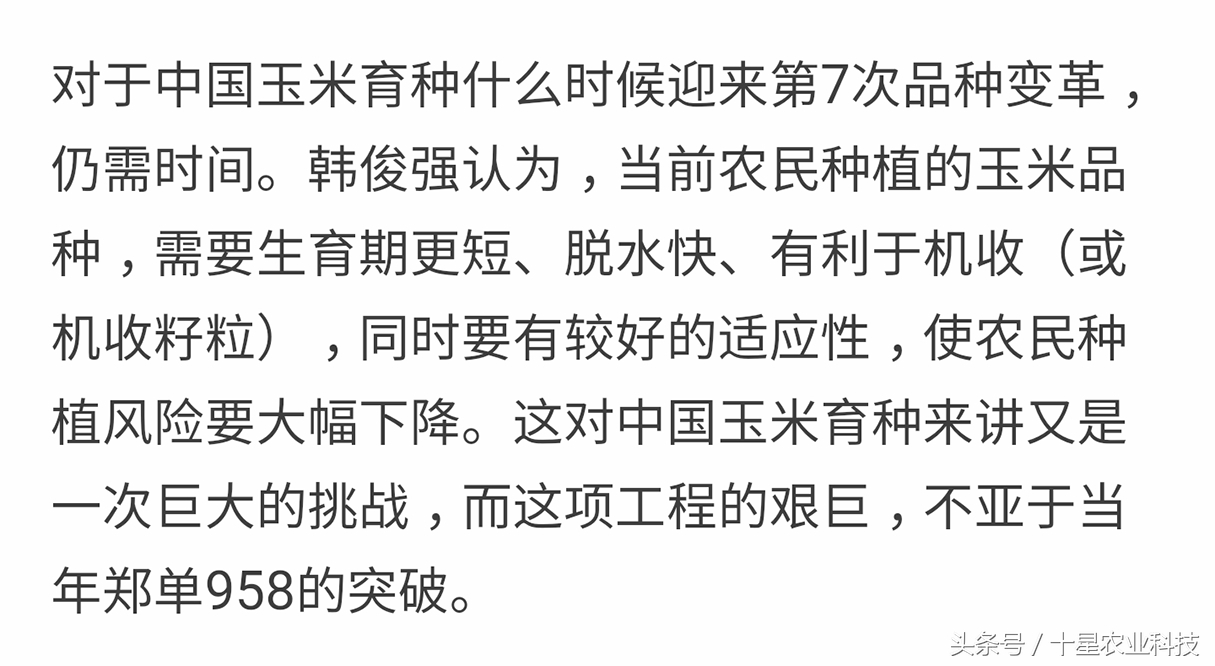 韩俊强吉林,韩俊强讲玉米种子