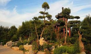 山东蓬莱海洋极地世界门票多少钱,山东郓城水浒城现在门票多少钱