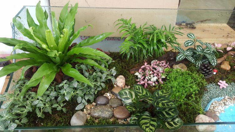 向阳的玻璃花房,玻璃花房设计建造