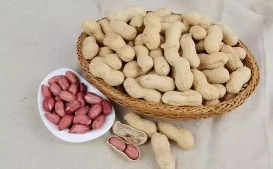 24种健康养生的食物,十种营养养生食物身体保健必备