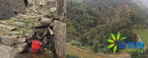 团风深山古稀老人的板栗梦.....