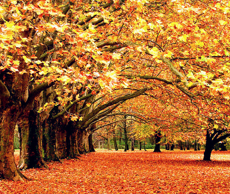 有些人注定要远走他乡,有些人注定要离开