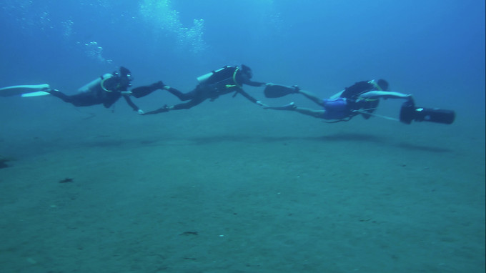菲律宾潜水攻略 (菲律宾潜水游记)
