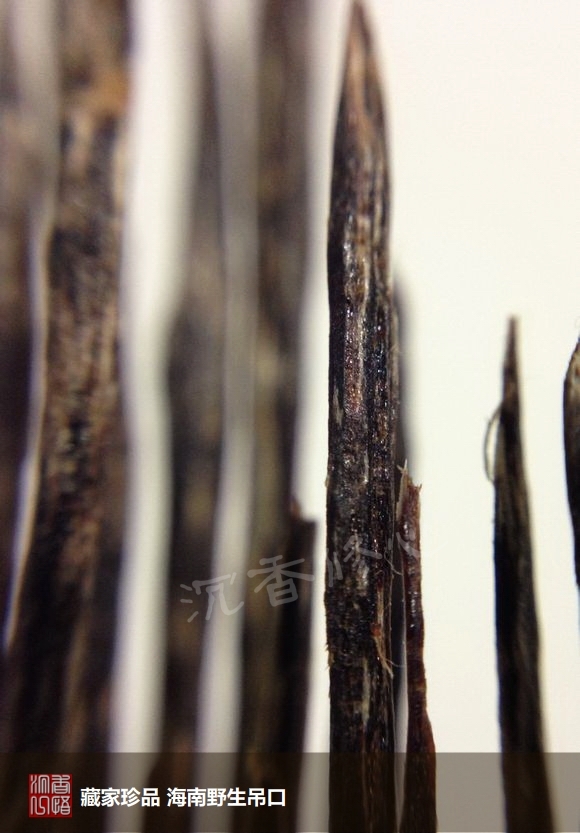 海南沉香最好是啥沉香,海南沉香知识
