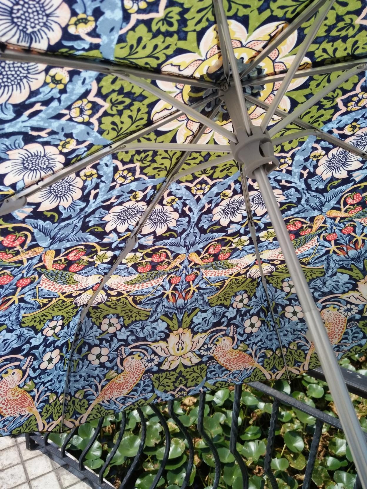 Morris设计师款,充满童趣的杯碟与雨伞~