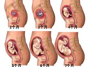 受孕环境酸碱性,选择环境和适应环境
