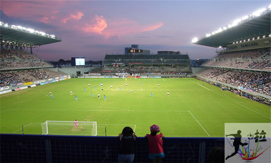 日本有哪些顶级专业足球场,日本有几个顶级足球场
