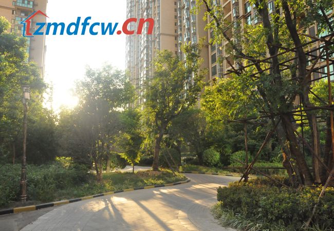 小Y看房记之天中国际实景探访