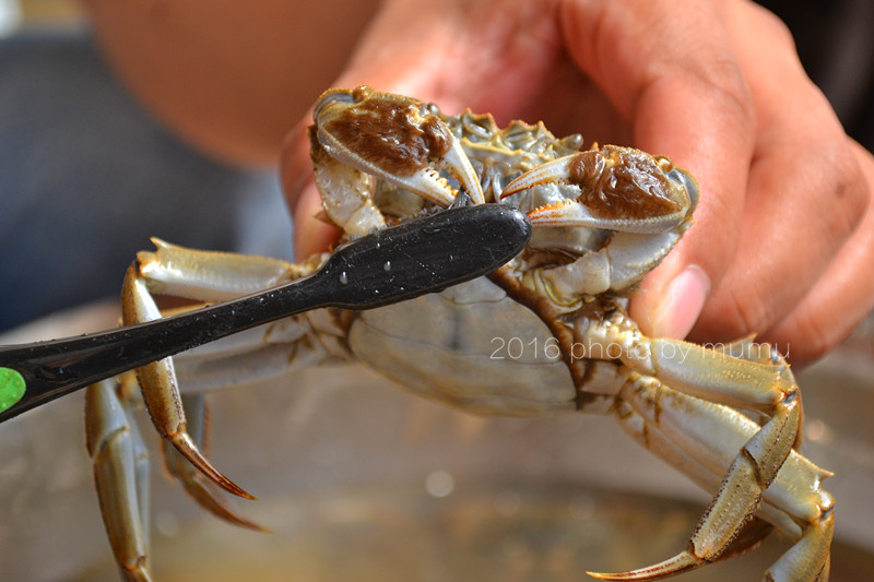 螃蟹怎么清洗干净最快方法,冷冻的螃蟹怎么清洗干净