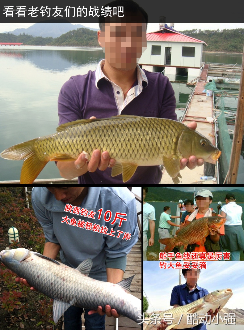 几种鱼线区别,七种颜色的鱼线