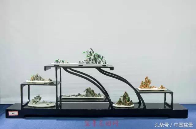哪些野草适合微型盆景,小品盆景和微型盆景有区别吗