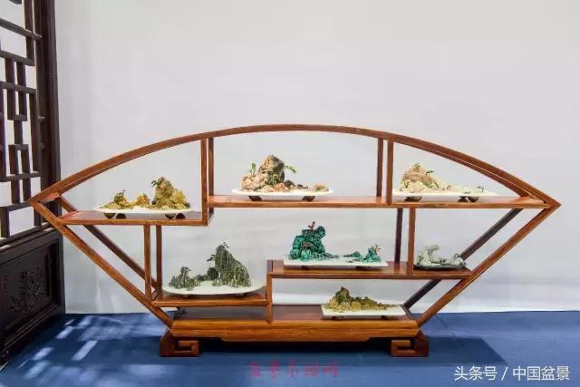 哪些野草适合微型盆景,小品盆景和微型盆景有区别吗