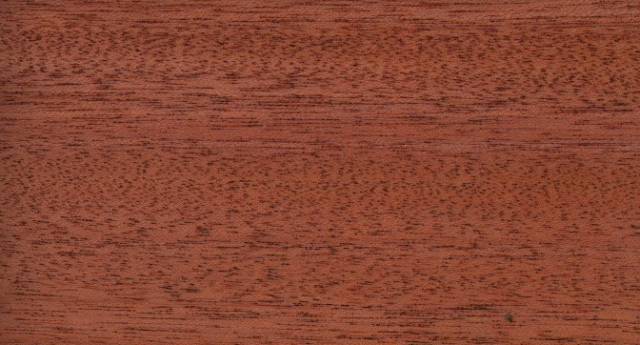 关于琴谱你不知道的事,吉他你不知道的事教学