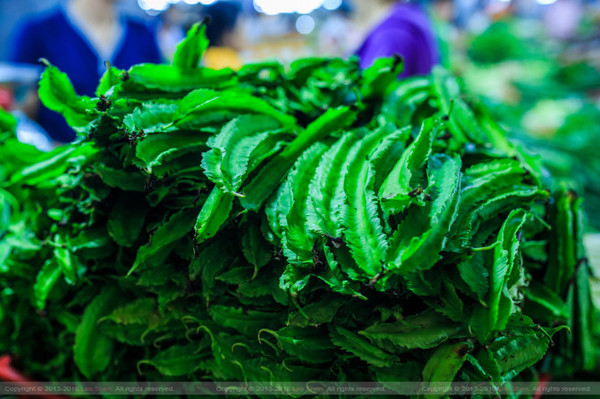 带着婚纱去三亚,带着婚纱旅行厦门