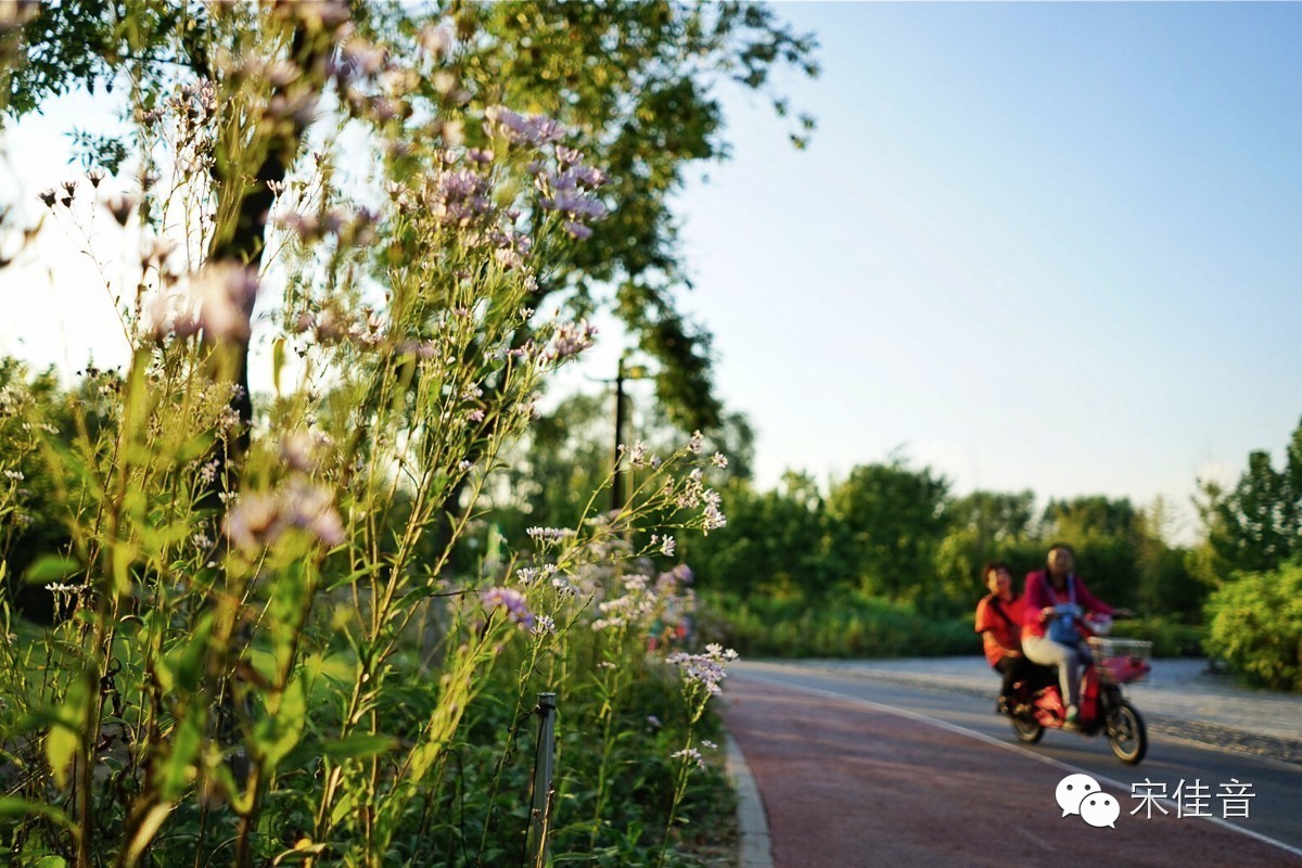 颐和园夕阳非常美的意境,北京颐和园冬天夕阳美景