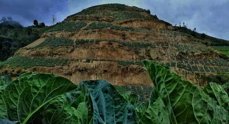 养鸡养羊还养生，德宏的这个地方，去了就不想走了！