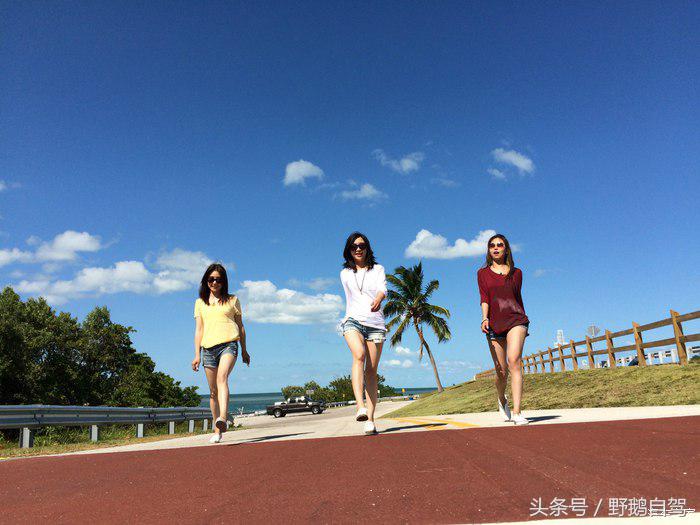 野鹅旅行,野鹅自驾无人区