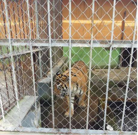 这个秋天遇见了怦然心动,这个秋天遇见最美的你