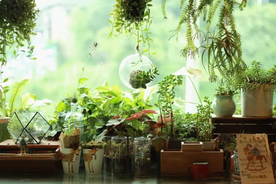 干货|从这些重庆小店路过，瞬间治愈蓝瘦香菇