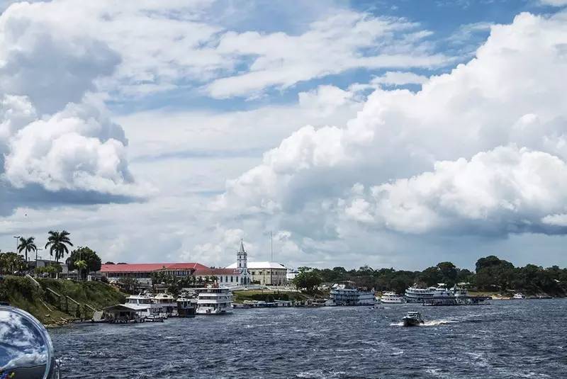 宝莲灯亚马逊,亚马逊雨林的宝莲灯