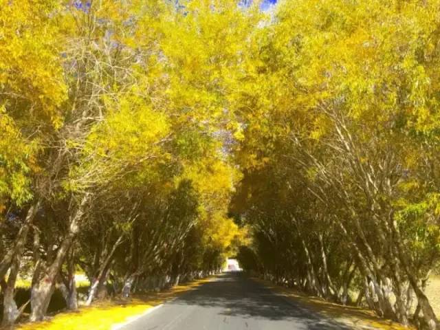 看头条后天就能从克拉玛依坐火车到喀什啦！