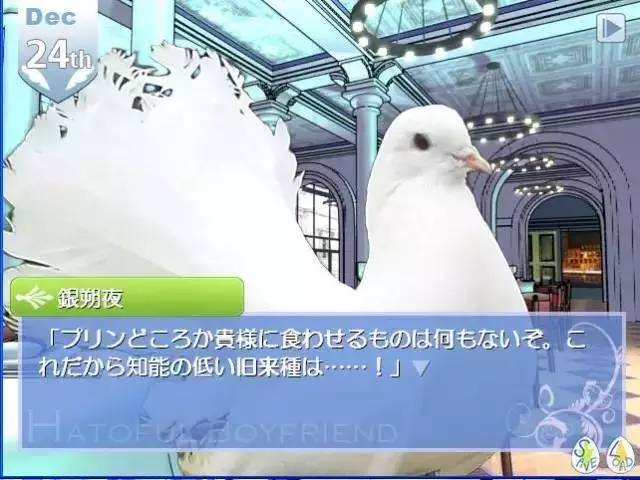 夭寿啦,夭寿啦小说