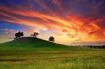 华语诗人诗群成员作品大展（群主：覃乙峰）