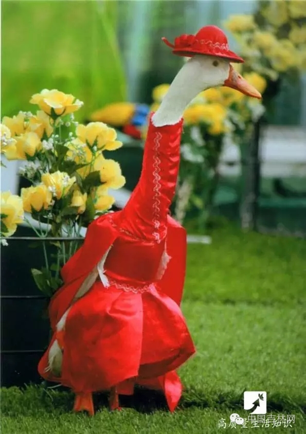 长春热企提前开栓供热,长春热企最新动态