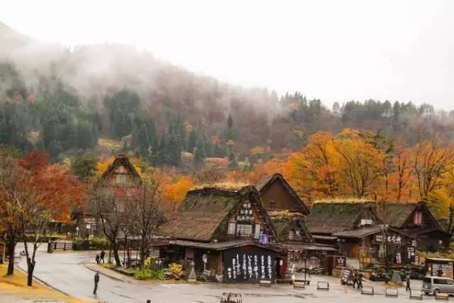 红叶堪比京都，温泉不输北海道的赏枫地，11-12月往返机票￥800+，不用担心人潮说走就走