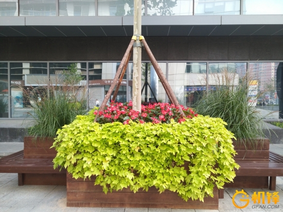 2100万像素效果图,2100w像素拍照清晰不