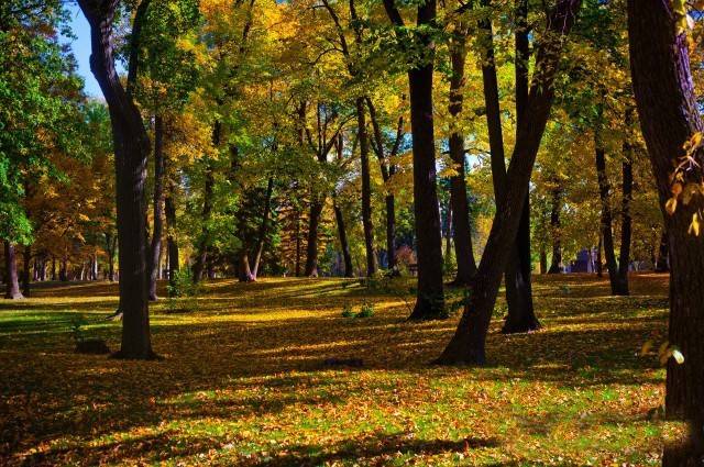 中国秋色最美的五个地方,邂逅国内各地绝美秋色