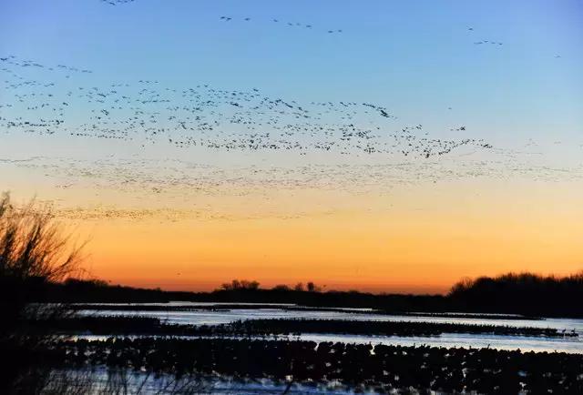 美国50大州排名,美国五十州排名