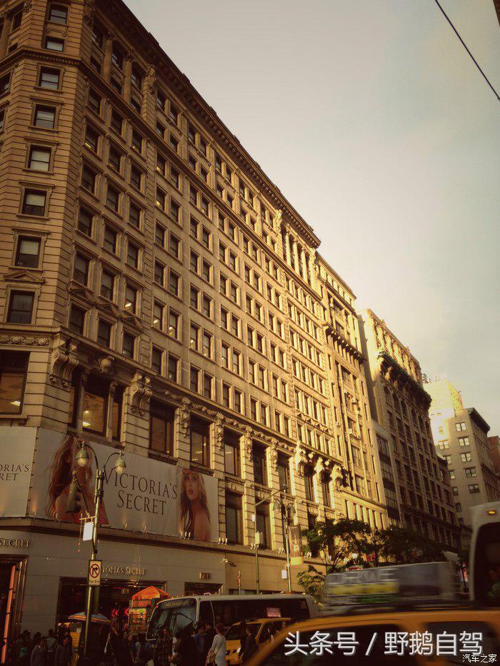 野鹅旅行,野鹅自驾无人区