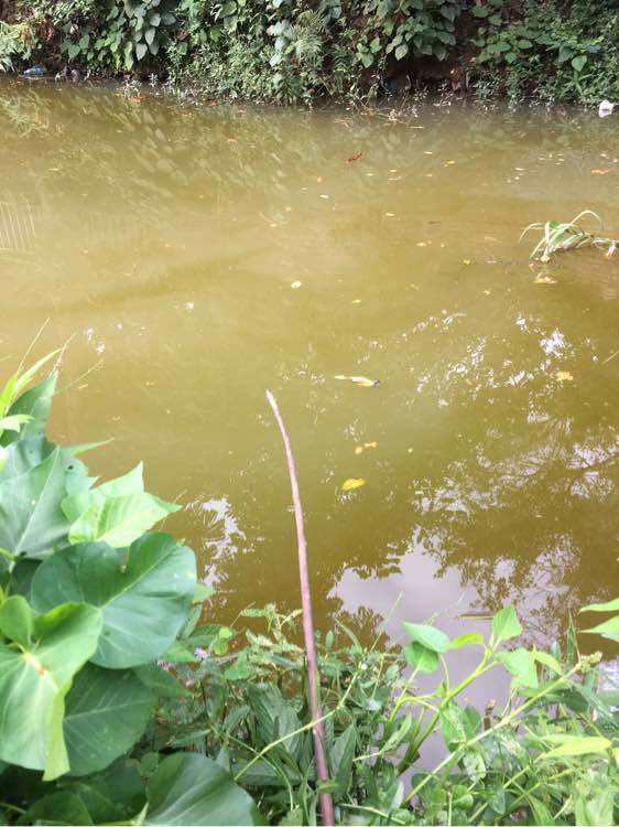 为什么野钓更舒服,为什么野钓要钓底