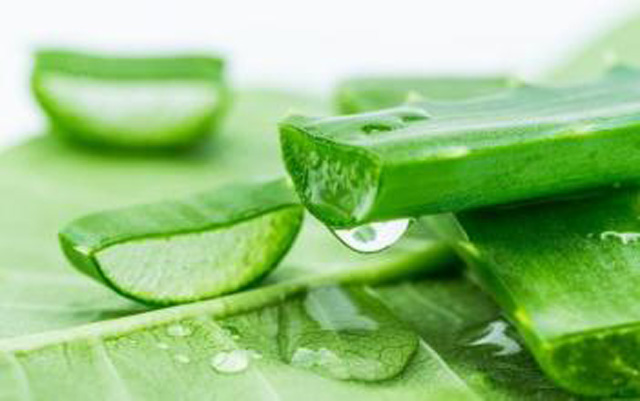 不要再纠结，得了肠胃病照着做，不治自愈