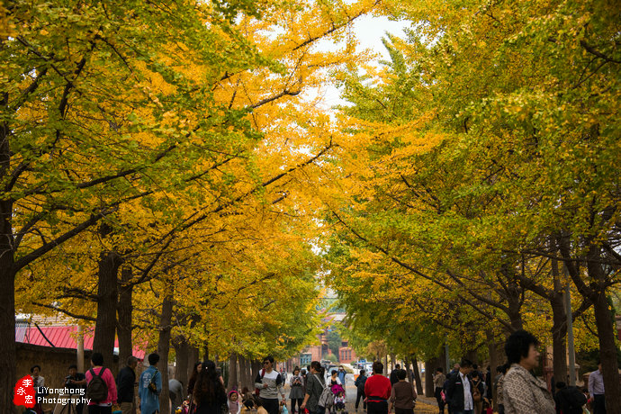 深秋的旅顺太阳沟,大连旅顺太阳沟秋景说说