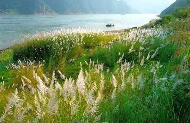 在干将莫邪的神话里，有一个地方，颜值逆天奢华而低调