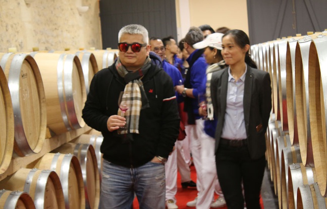 赵薇法国四个酒庄有多豪华,赵薇哪年在法国买的酒庄