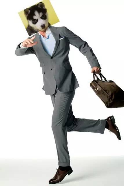 帮你“操翻”老板的装逼指南！