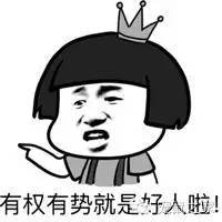 豚鼠各类饲养装备优缺点汇总之上篇